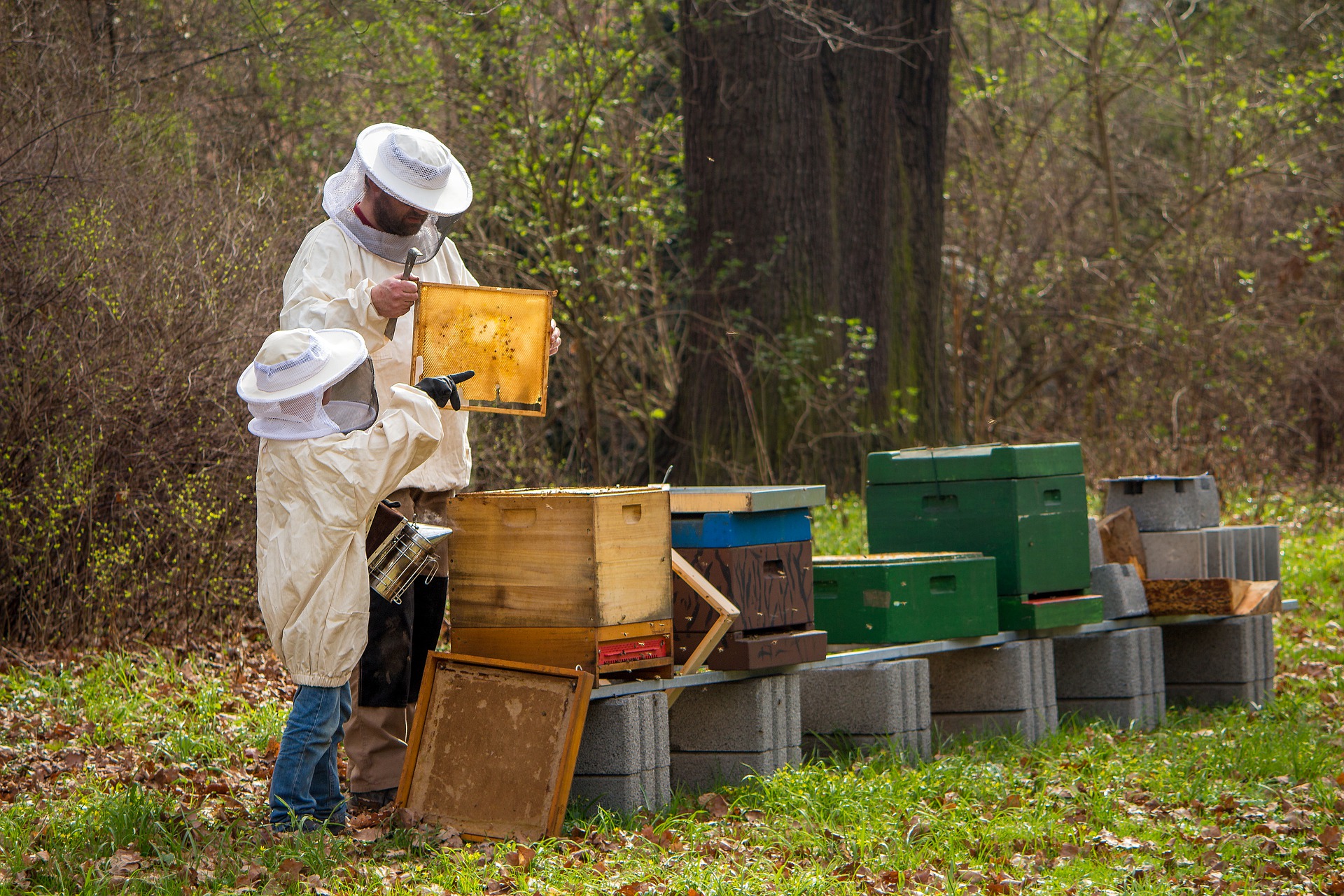 Пчеловоды в Италии
