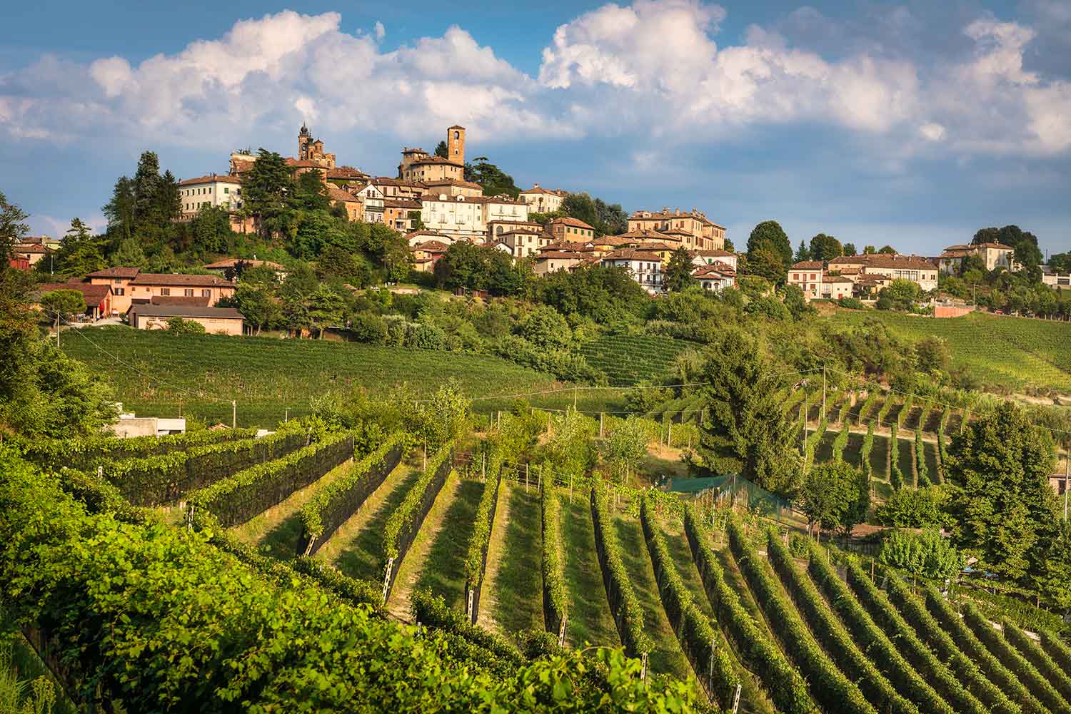 Российские винодельни в Италии