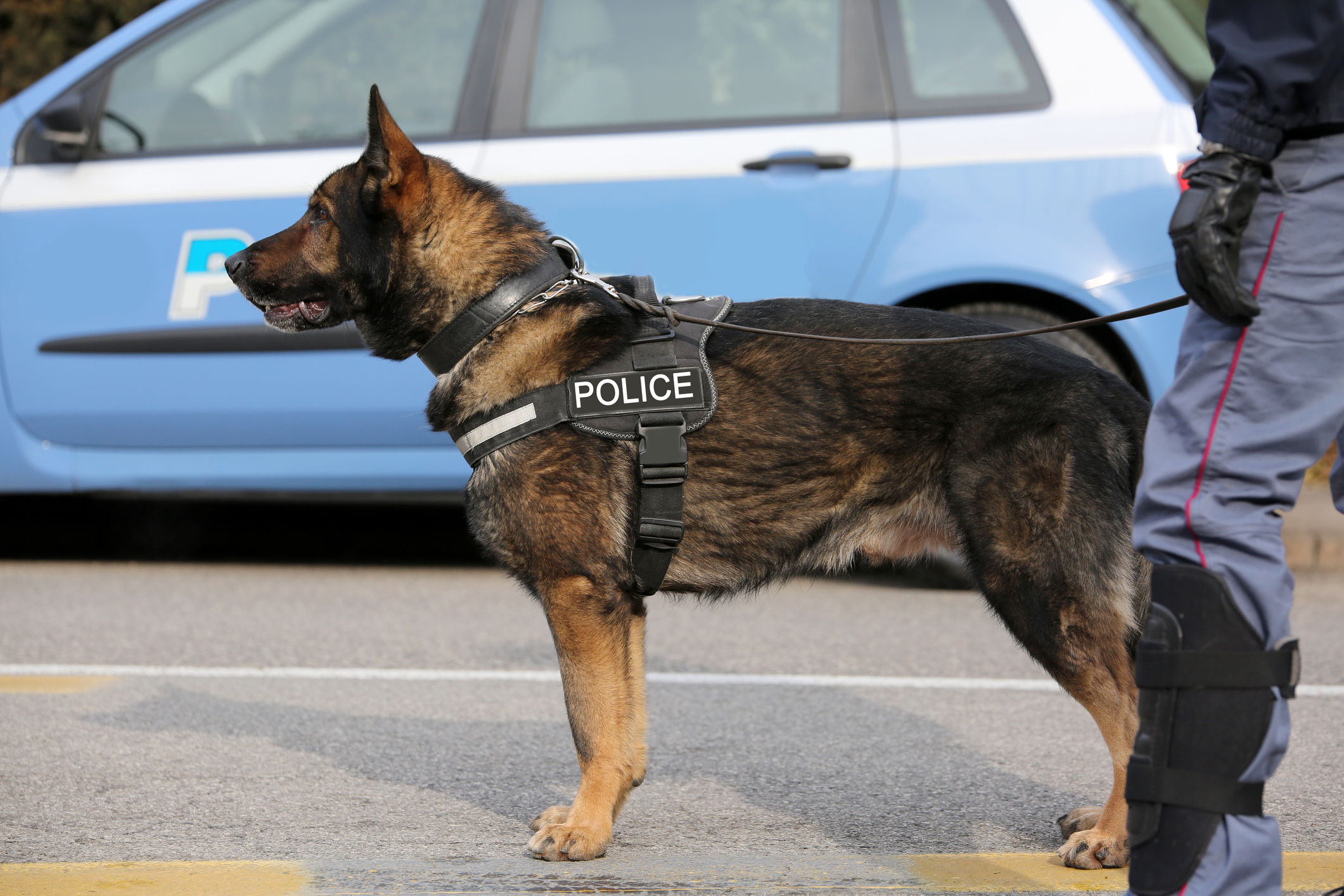 polizia1