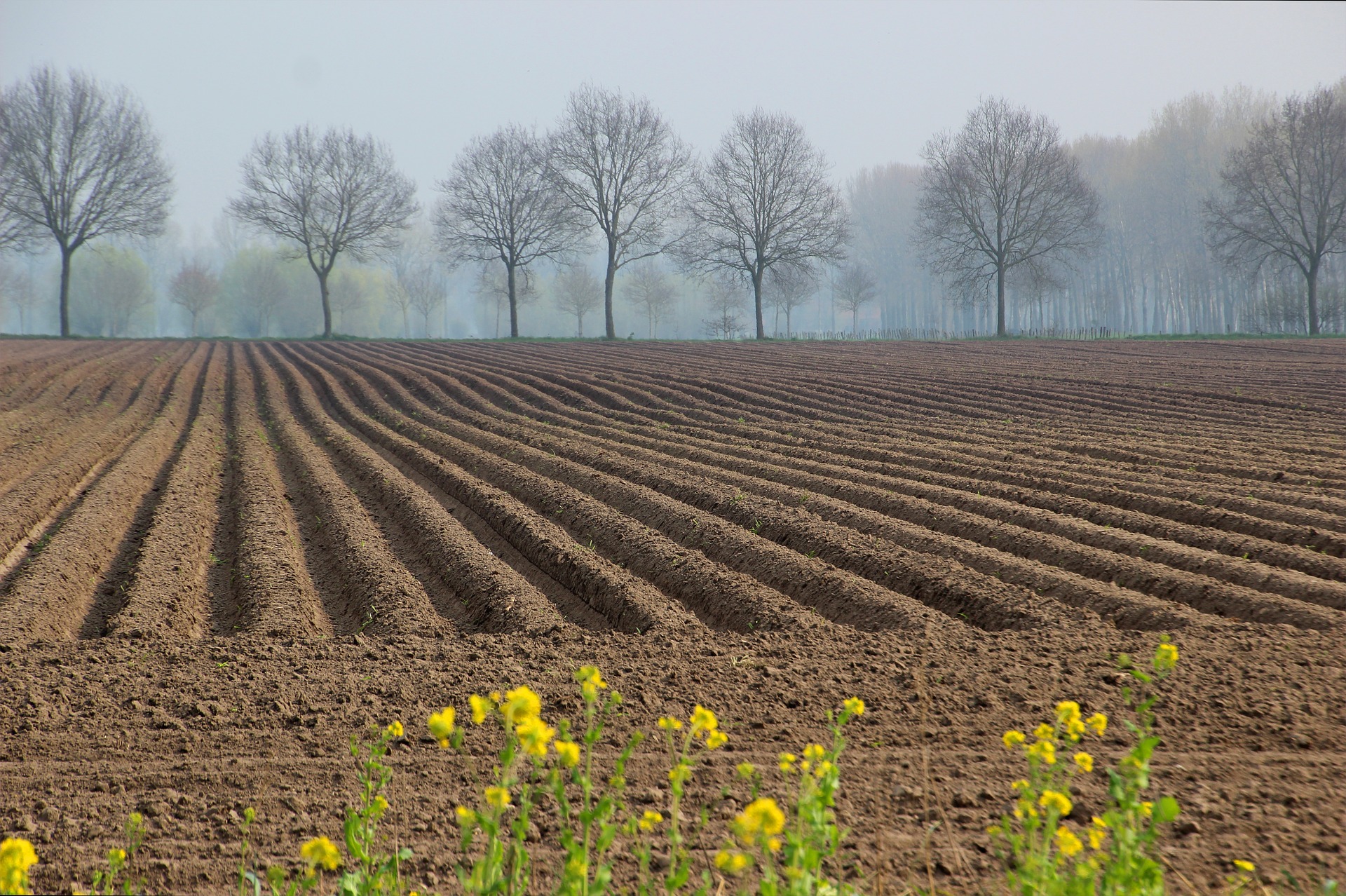 spring-4163595_1920
