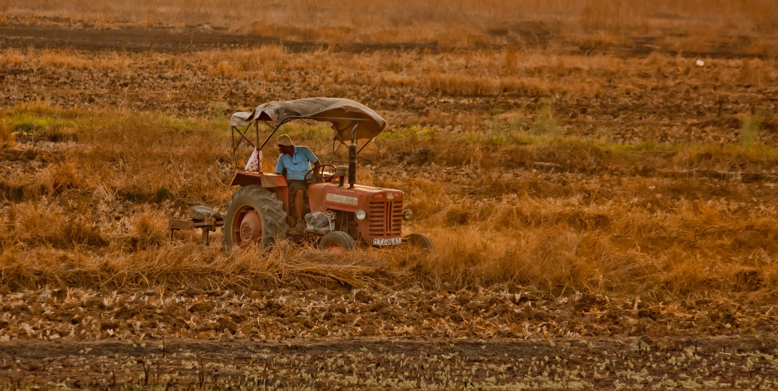 tractor-167075