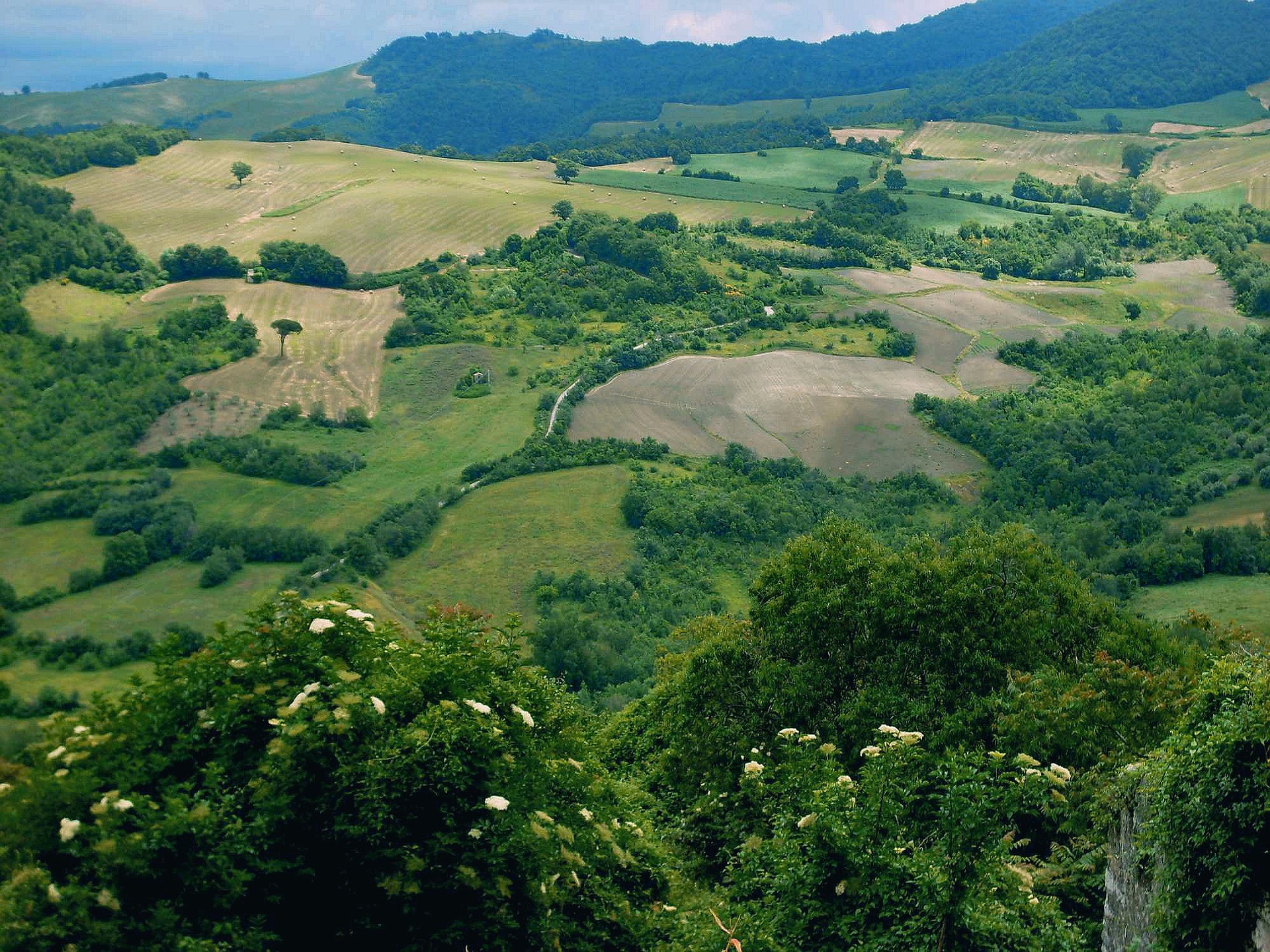 molise