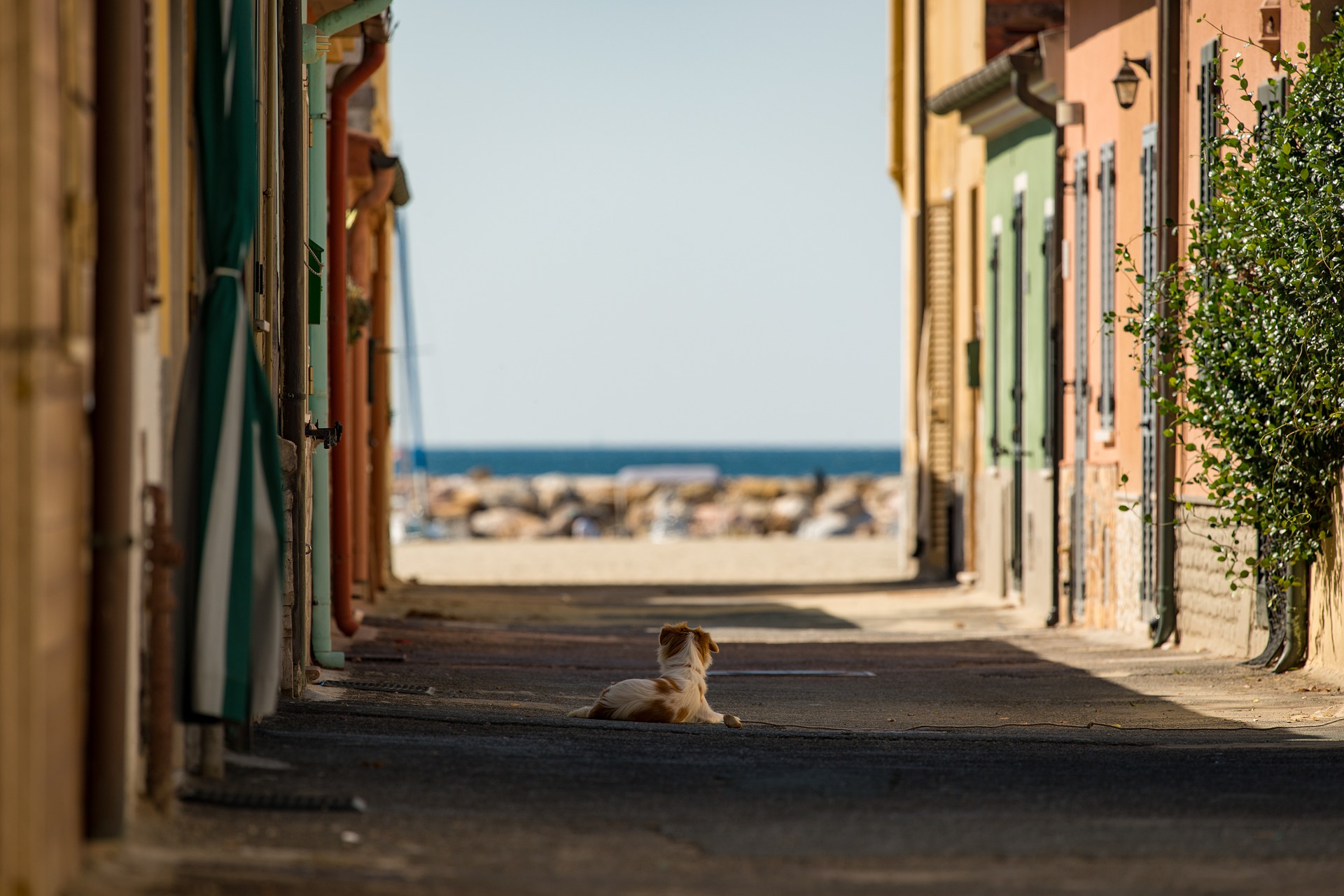 street-5085971_1920