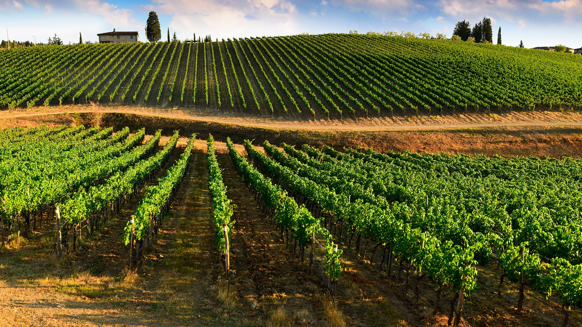hero_chianticlassico-min