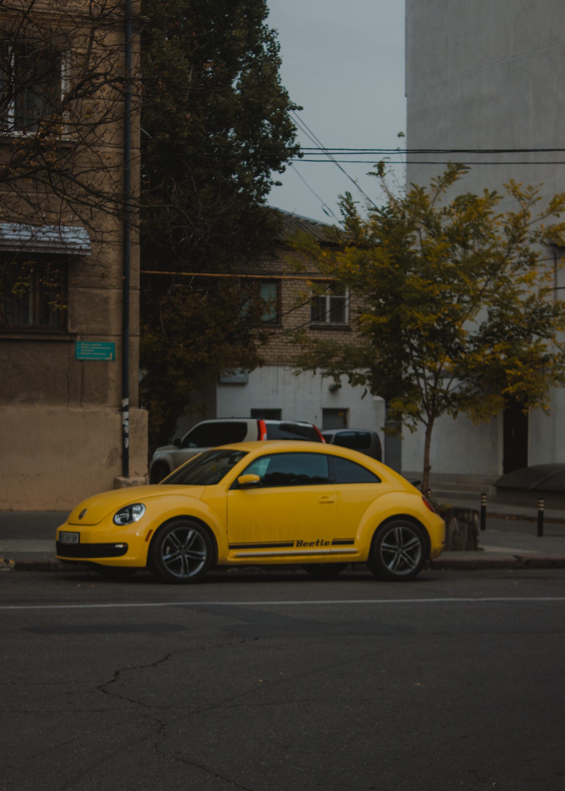 pexels-serhii-volyk-5669387