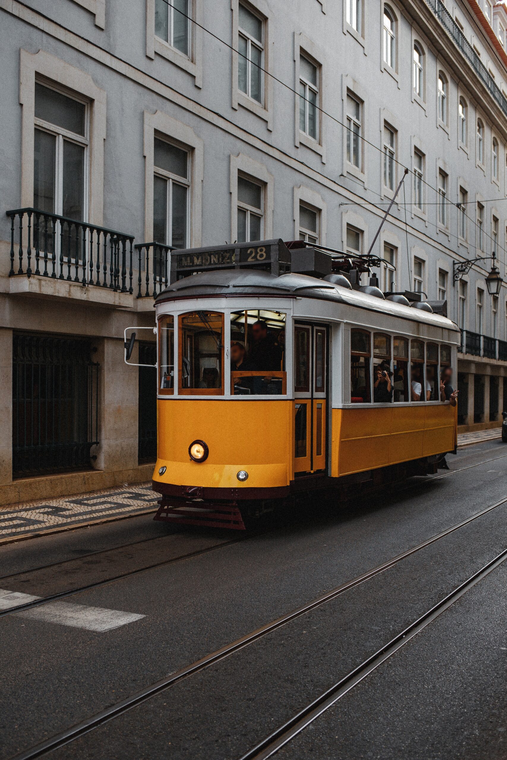 pexels-max-avans-5069387