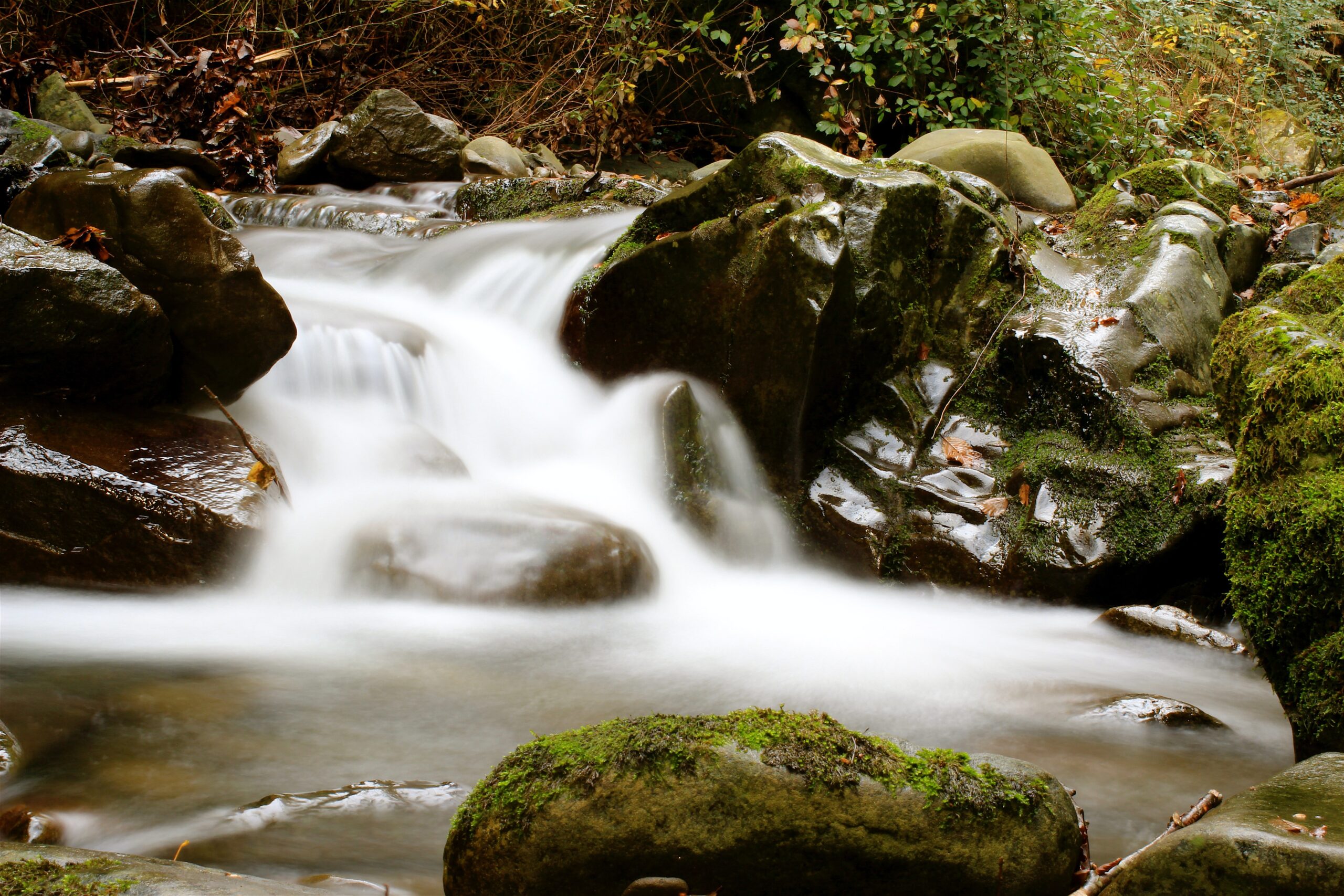 fiume