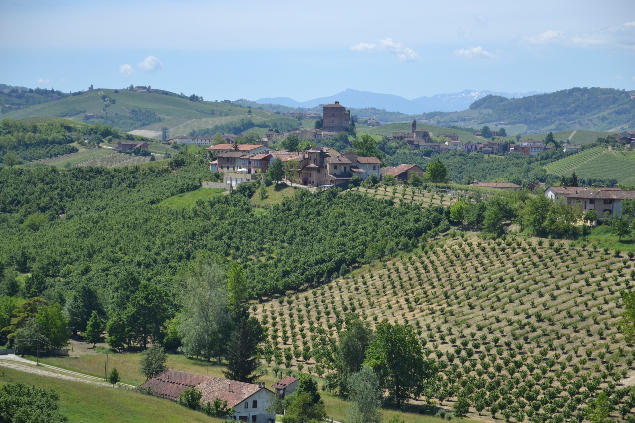 langhe