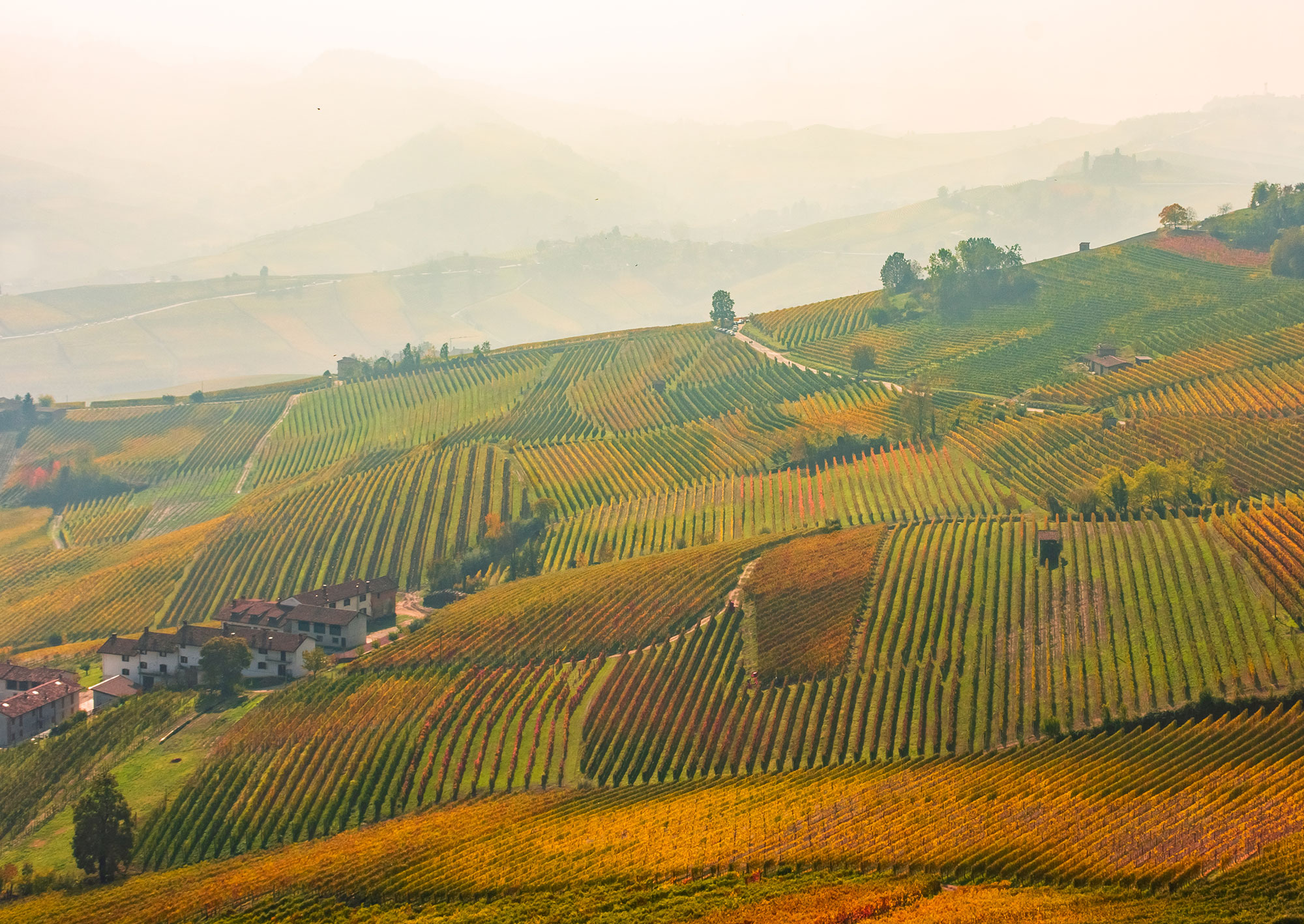 russian-wine-in-italy